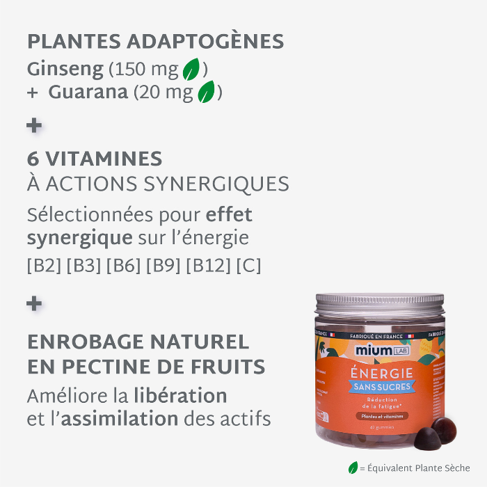 Gummies ÉNERGIE SANS SUCRES | Boost Physique et Mental | 21 jours