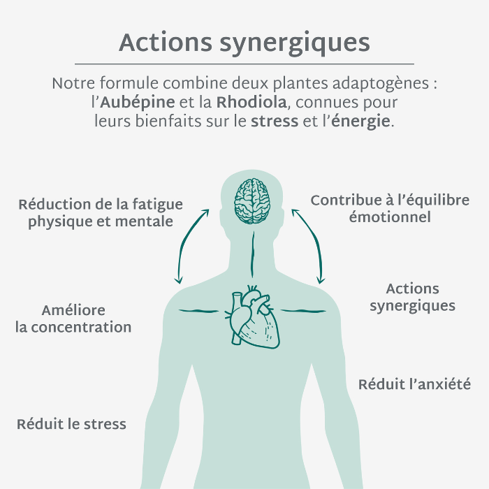 Gummies STRESS ZONDER SUCRES | Anti-stress en angst | 21 dagen